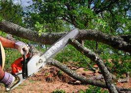 Lawn Irrigation Installation and Maintenance in Wadley, GA